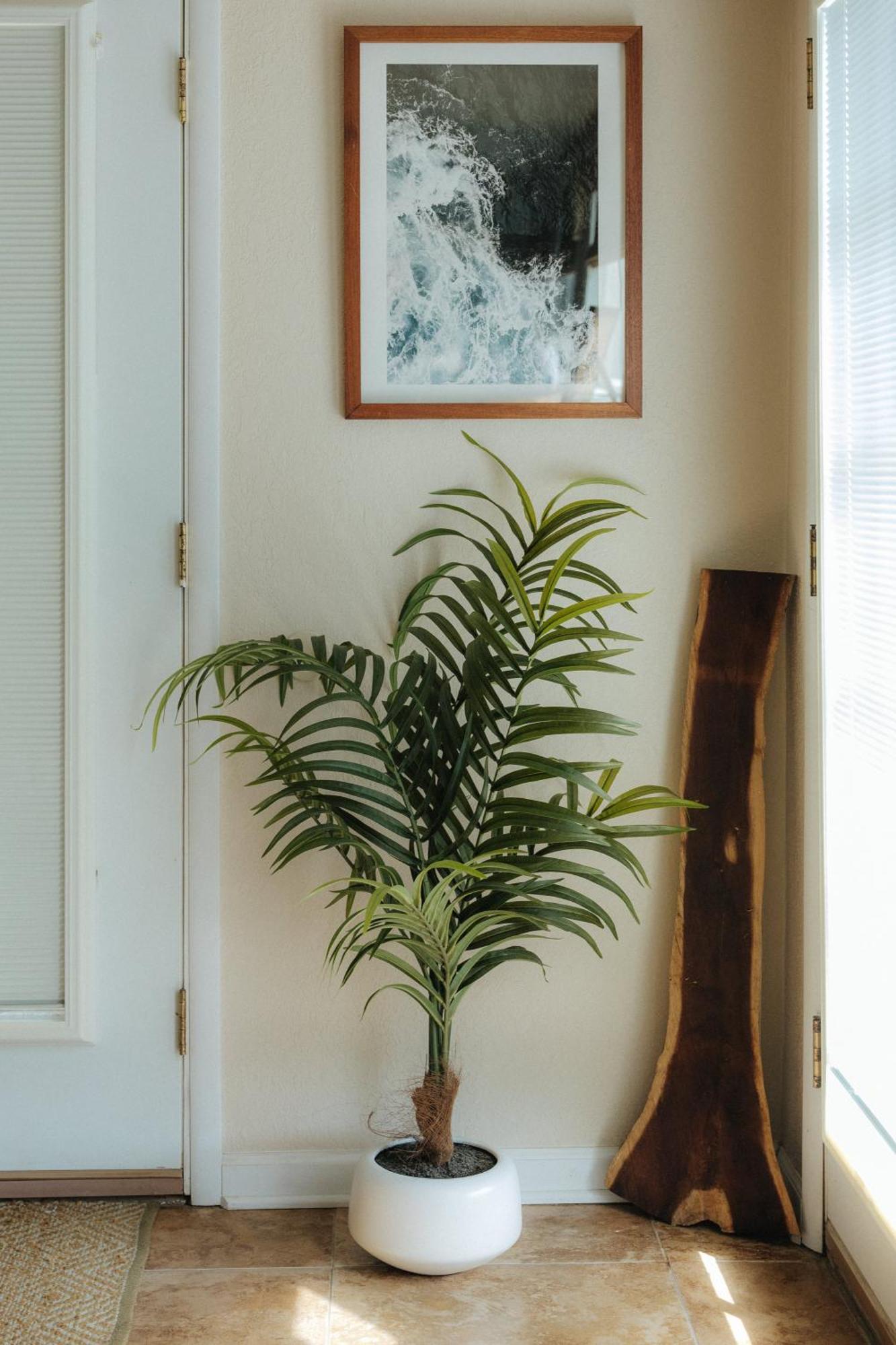 Apartament The Ohia At The Koi House Kailua-Kona Zewnętrze zdjęcie